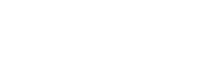 DubTek